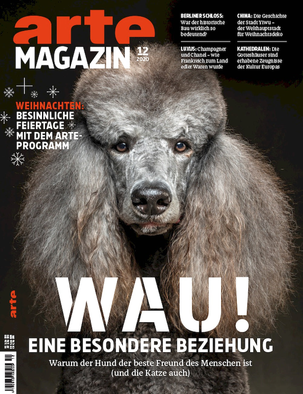 Arte Magazin Deutschland 2020-12 Champagner Chanel