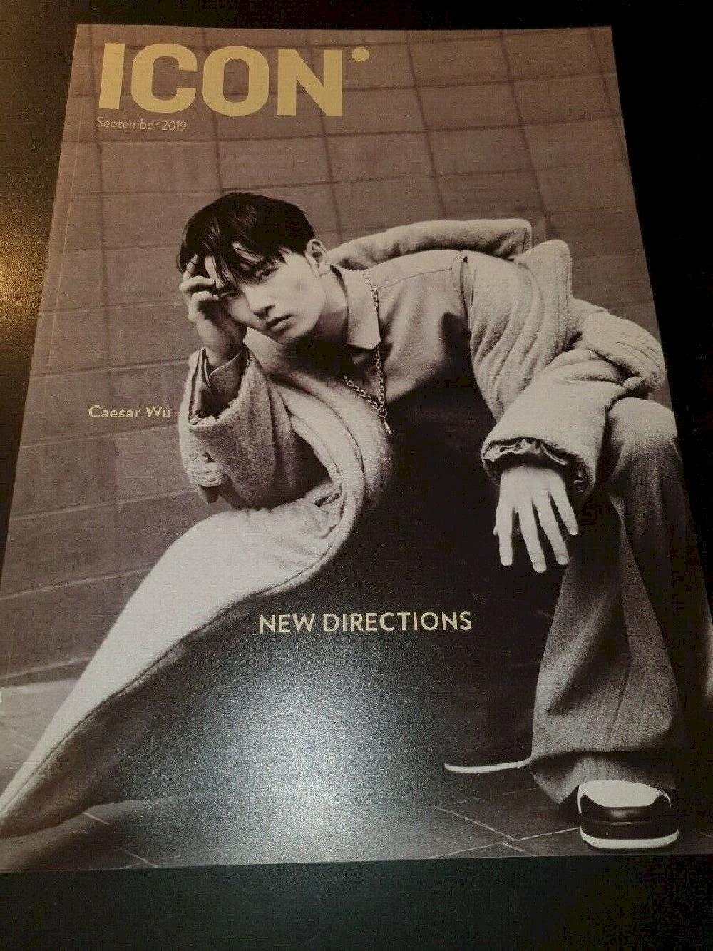 Icon Magazin Deutschland 2019-09 Caesar Wu Meteor Garden