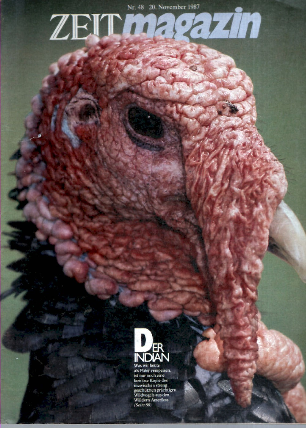 Zeit Magazin Deutschland 1987-20 Wild Turkey Meleagris Gallopavo