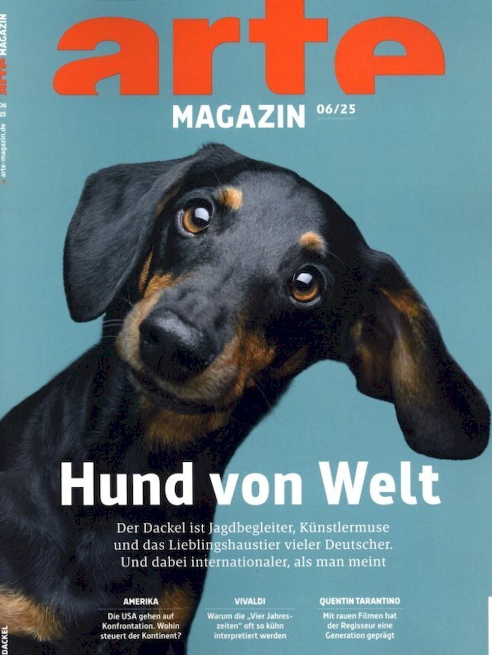 Arte Magazin Deutschland 2025-06 Dachshund Dackel Vivaldi Quentin Tarantino