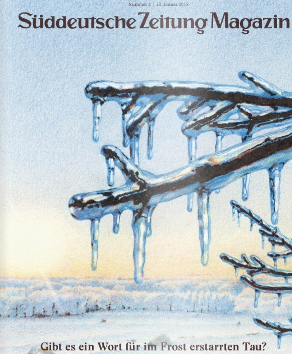 Süddeutsche Zeitung Magazin Deutschland 2018-02 Naturphänomene Gefrorener Tau Frost