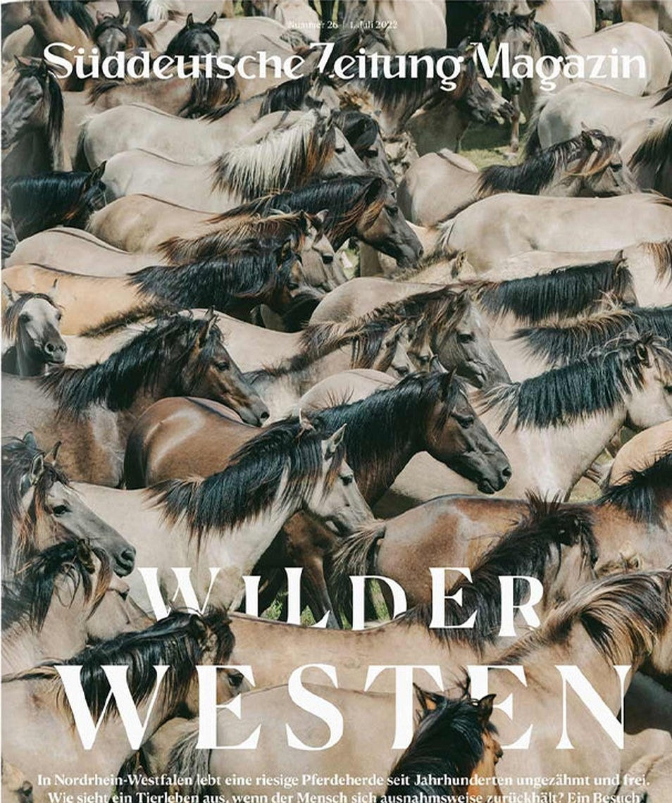 Süddeutsche Zeitung Magazin Deutschland 2022-26 Wildpferde Dülmener Wildpferde Tierschutz