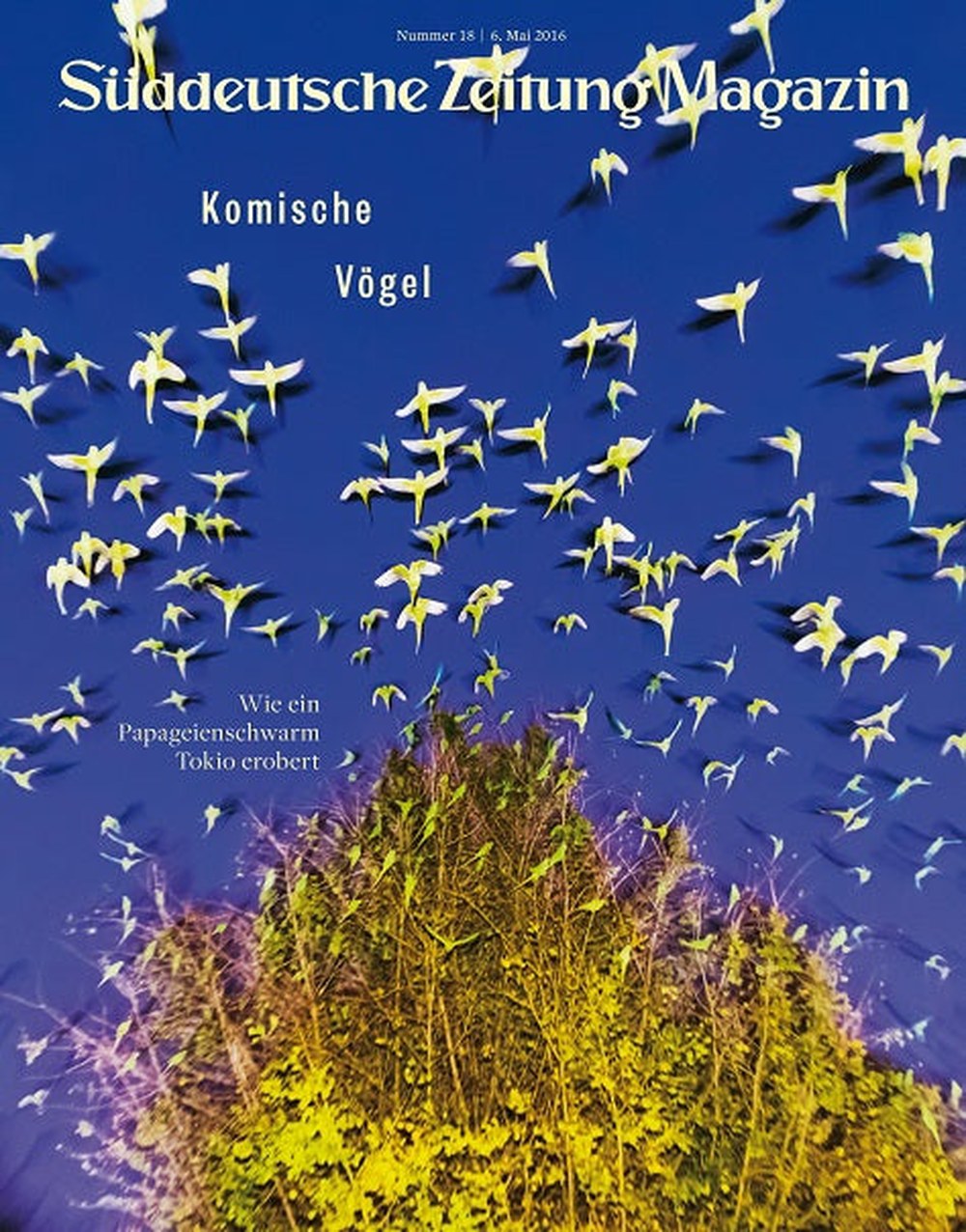 Süddeutsche Zeitung Magazin Deutschland 2016-18 Papageien In Tokio Verwilderte Papageienschwärme Städtische Tierwelt