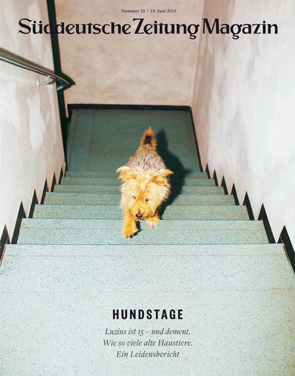 Süddeutsche Zeitung Magazin Deutschland 2015-25 Hundstage ältere Haustiere Demenz Bei Haustieren