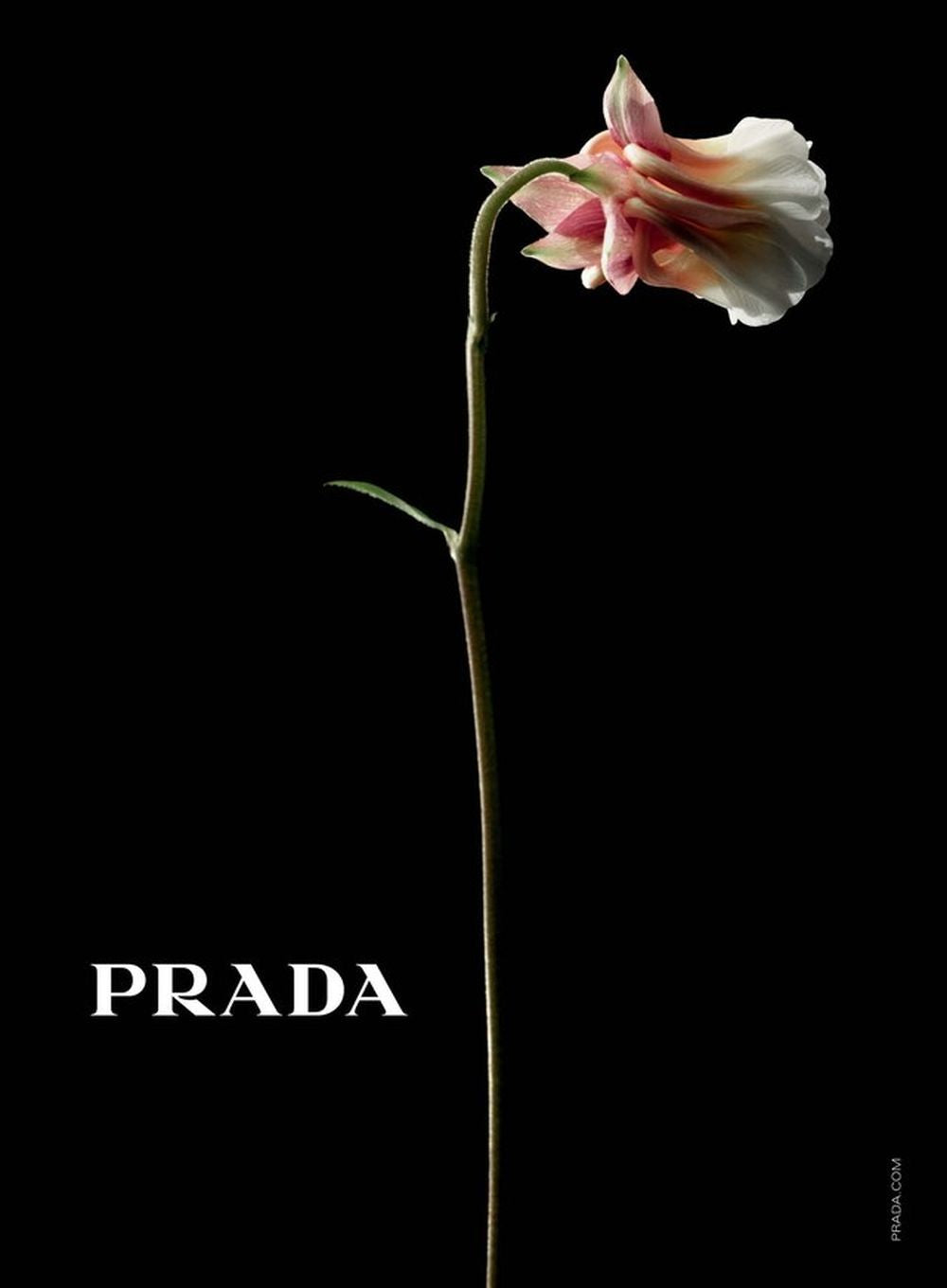 GQ Magazin Deutschland 2023-05 Chris Evans Diane Kruger Troye Sivan
