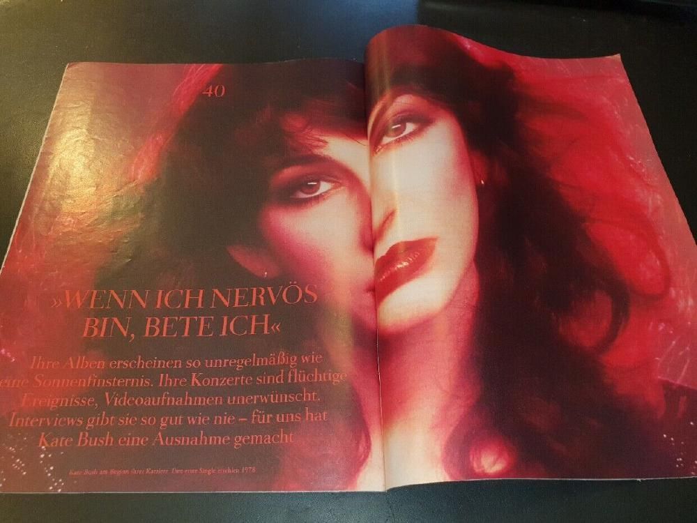 Zeit Magazin Deutschland 2016-50 Kate Bush